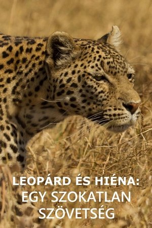 Leopárd és hiéna: egy szokatlan szövetség (2021)