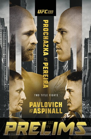UFC 295: Prochazka vs. Pereira 7