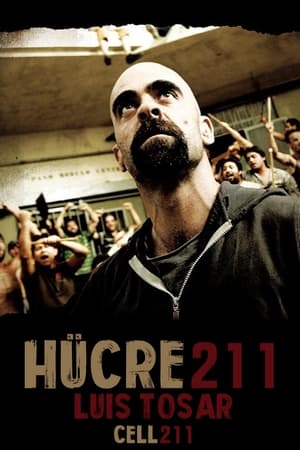 Hücre 211 2009