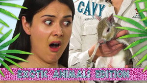 Épisode 10