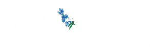Mary e a Flor da Feiticeira — Logos 4