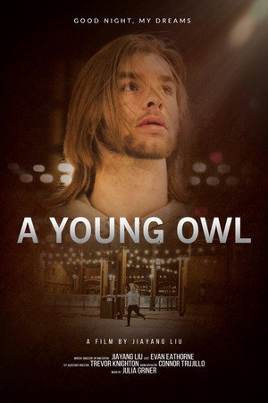 A Young Owl 3