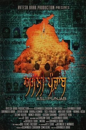 Poster Asli Punjab (2017)