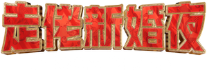 Dhoom Dhaam — Logos 12