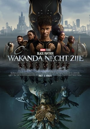 Poster Black Panther: Wakanda nechť žije 2022