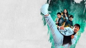 Agente de Kung Fu (Тимучин)