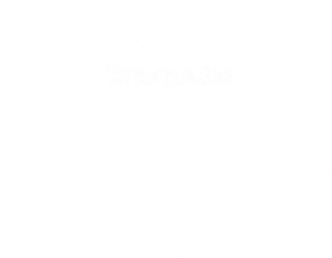 Doc McStuffins: The Doc and Bella Are In! — Logos 4