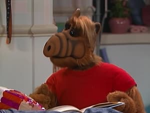 ALF Stop in the Name of Love