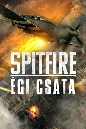 Spitfire - Égi csata 2022