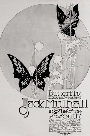 Poster The Flame of Youth (1917)