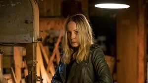 Liar: Stagione 1 x Episodio 5