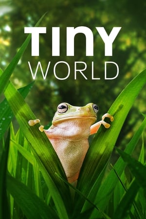 Tiny World: Kausi 2