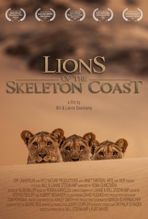 Image Lions of the Skeleton Coast