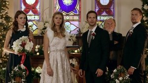 Christmas Wedding Planner (2017)