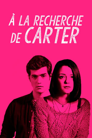 Poster Finding Carter Saison 2 Retiens-moi 2015