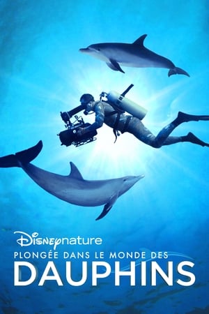  Plongee Dans Le Monde Des Dauphins - Discovering The Reef - 2020 
