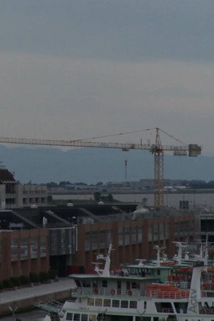 LA LINEA GENERALE (2010)