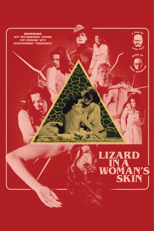 Постер фильма «Ящерица в женской коже (1971)» — (17 из 29)