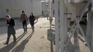 Continuum: 3×9