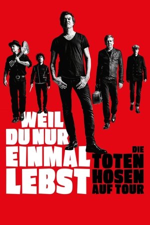 Die Toten Hosen auf Tour - Weil du nur einmal lebst 2019