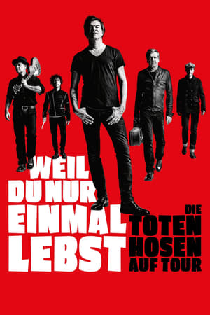 Poster Die Toten Hosen auf Tour - Weil du nur einmal lebst 2019