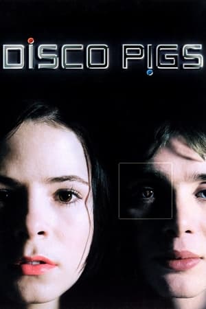 Poster Disco Pigs 2001