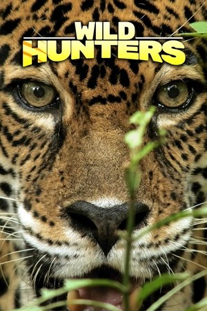 Image Wild Hunters