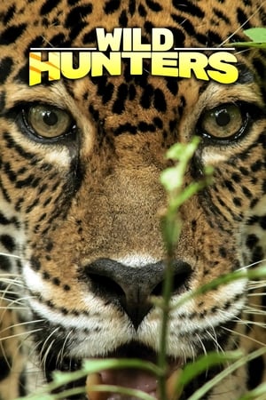 Image Wild Hunters
