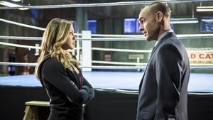 Arrow Season 3 Episode 6