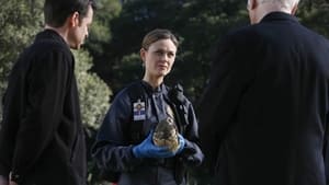 Bones Season 2 Episode 17