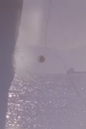 Aipeia