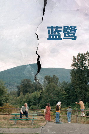 藍鷺少年