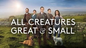 poster All Creatures Great & Small