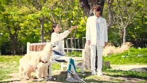 Angel’s Last Mission: Love (2019) Korean Drama