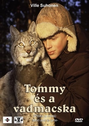 Tommy és a vadmacska