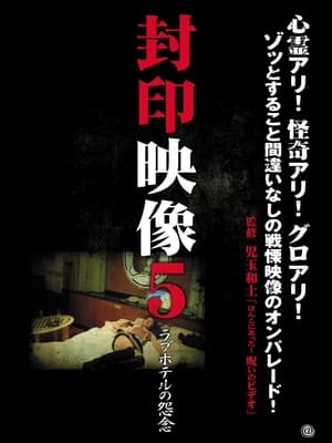 Poster Sealed Video 5: Love Hotel Grudge 2011