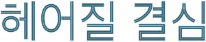 헤어질 결심