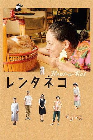 Rent-a-Cat 10