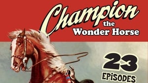 The Adventures of Champion film complet
