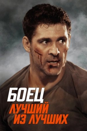 poster Life After Fighting