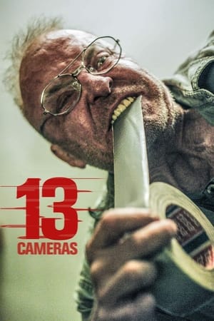 Poster 13 Cameras 2016
