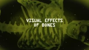 Image Visual Effects Of Bones