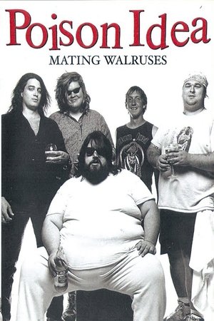 Nonton film Poison Idea: Mating Walruses (1993) terbaru sub indo Nonton film Poison Idea: Mating Walruses (1993) terbaru sub indo