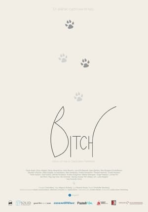 Poster Bitch 2017