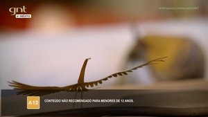 Alma de Cozinheira: 2×8