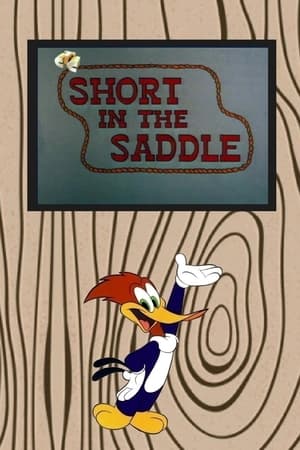 Short in the Saddle poster