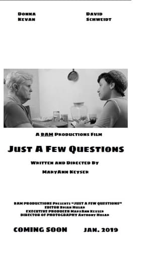 Poster Just a Few Questions (2019)