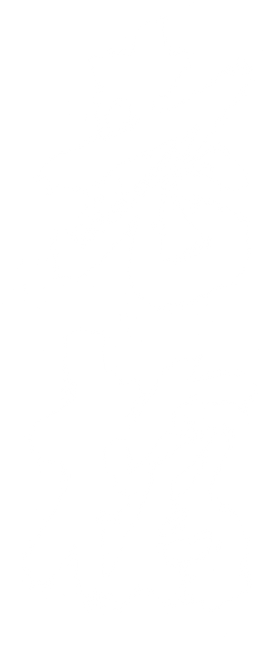 老枪 — Logos 2