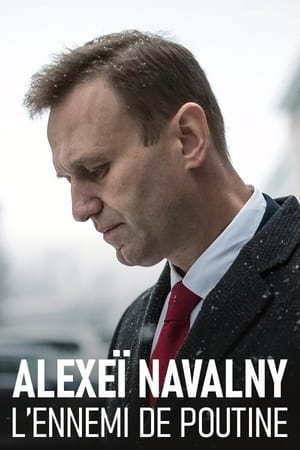 Image Navalny, l'ennemi de Poutine