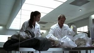 CSI: NY: 1×6